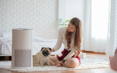 Air Filter Vs Air Purifier: Know the Differences